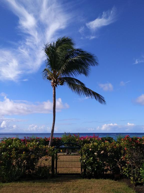 Savannah Guadeloupe Saint-Francois  Exterior photo